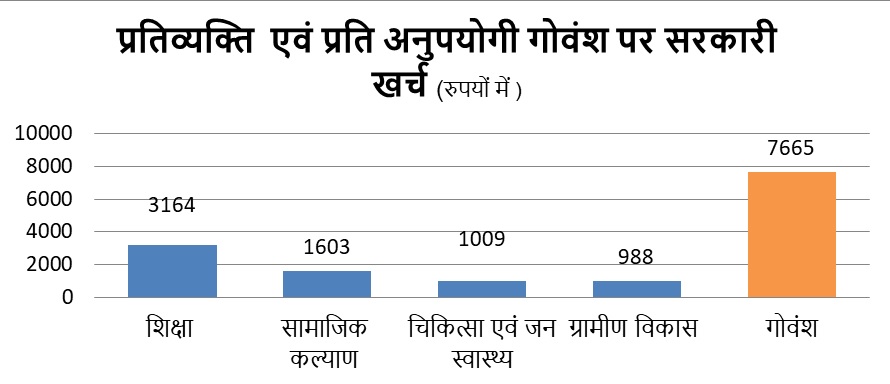 1 per cattle expenditure chart.jpg