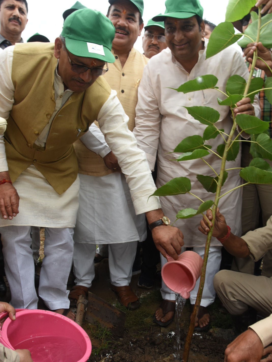 CM Plantation 16 july.jpg