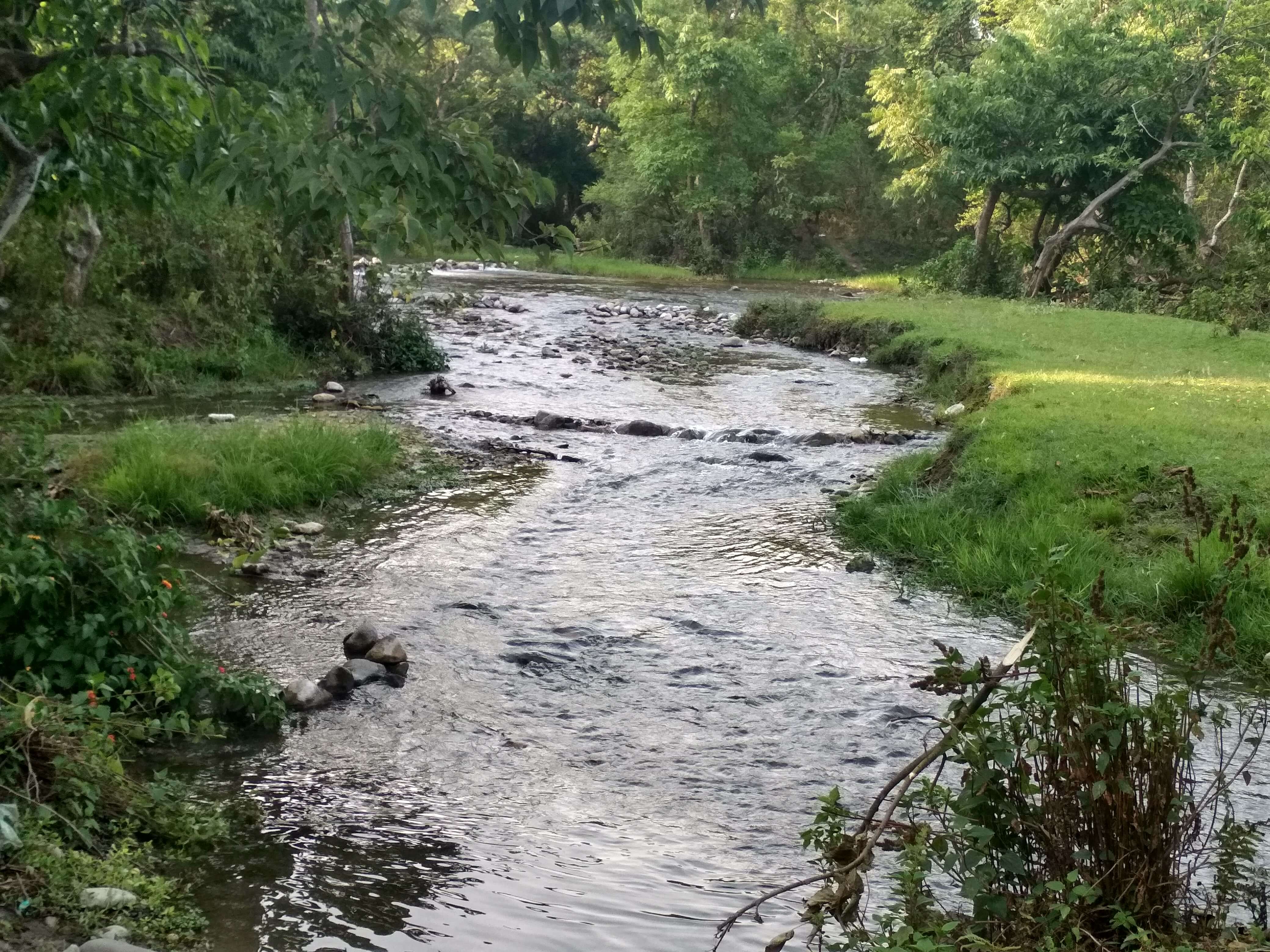 IMG_20190615_175152_HDR (1).jpg
