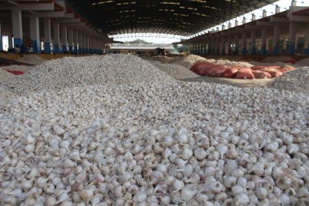 MP onion farmers' loss 1.jpg