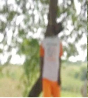 farmer suicide.PNG