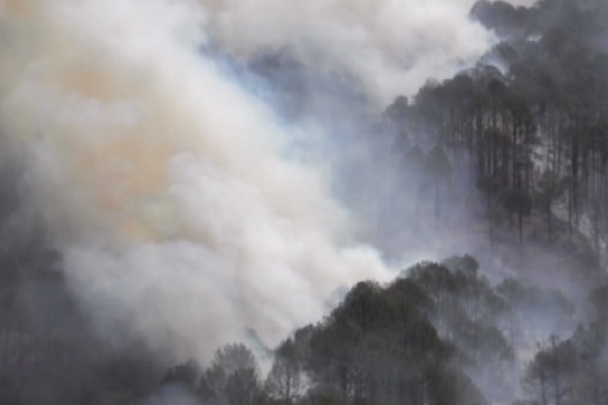 forest fire uttarakhand (2).jpg
