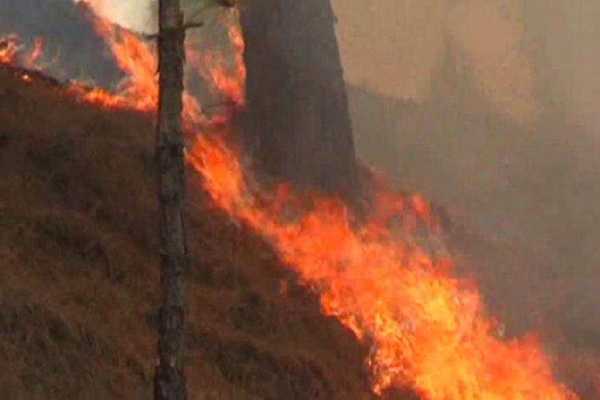 forest fire uttarakhand.jpg