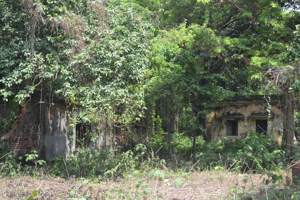 image 2_6.jpg