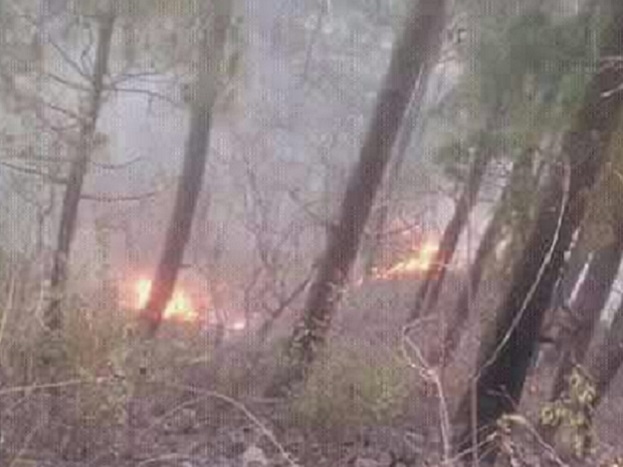 pauri forest fire- srinagar road.jpeg