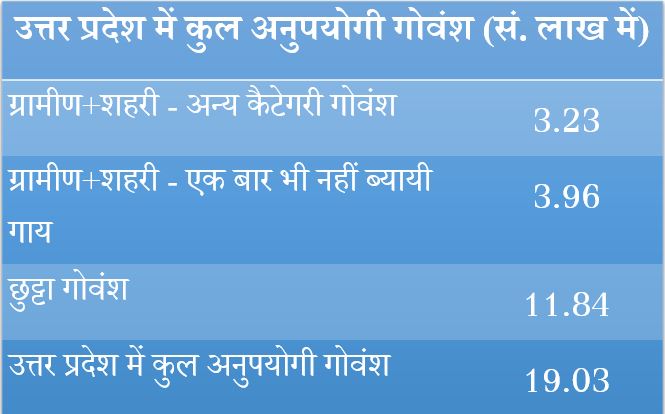 number of Stray Cattle in UP.JPG
