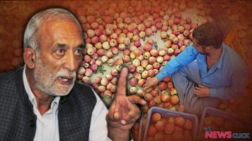 सेब किसान