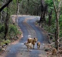 सांकेतिक तस्वीर
