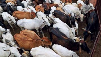 सांकेतिक तस्वीर