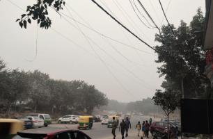 delhi environment