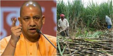 यूपी किसान