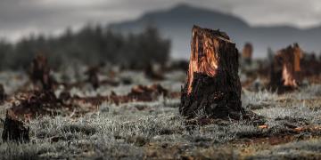  प्रकृति का शोषण