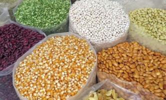 ग्रामीण भारत 