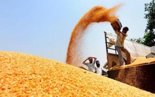 ग्रामीण भारत 