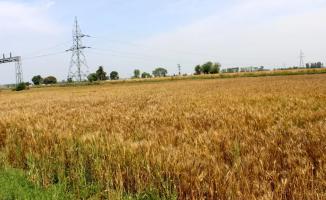 ग्रामीण भारत