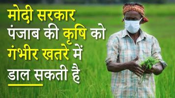 पंजाब की कृषि 