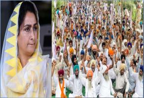 क्या है किसानों का मुद्दा जिसके चलते हरसिमरत कौर को मोदी कैबिनेट से इस्तीफ़ा देना पड़ा