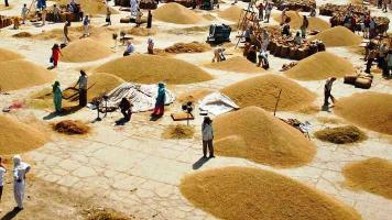 मध्य प्रदेश