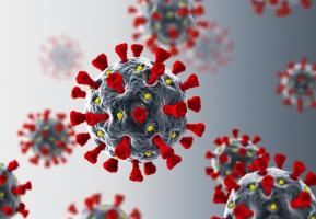 कोरोना वायरस 