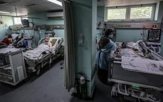 कोरोना वायरस 