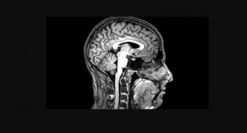 भूख और अकेलेपन का होता है दिमाग़ पर एक जैसा प्रभाव