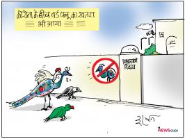 आपदा : अब बर्ड फ्लू का ख़तरा, कई राज्यों में अलर्ट जारी   