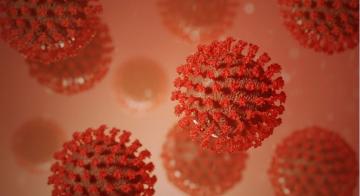 कोरोना वायरस 