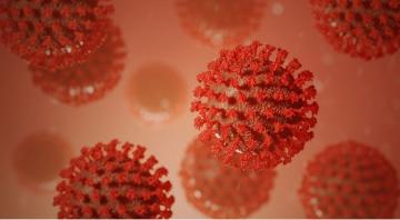 कोरोना वायरस 