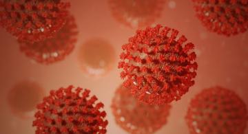कोरोना वायरस 