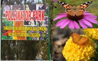 pollinator park
