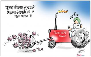 Panjab local elections