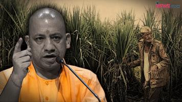 प्रश्न प्रदेश: योगी सरकार का चार साल का जश्न और गन्ना किसानों की परेशानी
