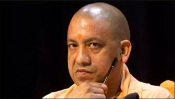 Yogi