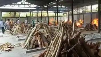 Letter from the Mayor of North Delhi to the Chief Minister, requesting to ensure the supply of pyre wood to the crematoriums