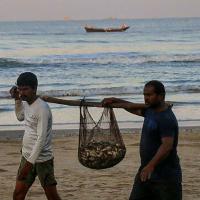 मुंबई से कोंकण तक ख़तरे में मछुआरों की रोज़ी-रोटी, कोरोना पाबंदी के नए नियम से बढ़ी मुसीबत