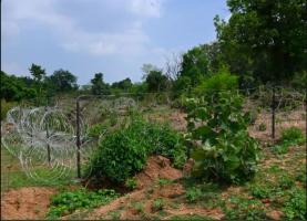 jharkhand