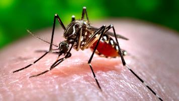 दिल्ली : कोरोना और ब्लैक फंग्स के साथ डेंगू ने भी दी दस्तक़