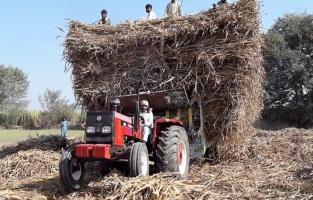 यूपी: केंद्र ने चुनाव से पहले गन्ने की एफआरपी बढ़ाई; किसान बोले विफलताओं को छुपाने का ढकोसला