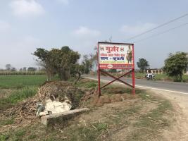 up elections