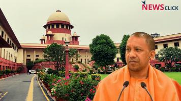 sc and yogi