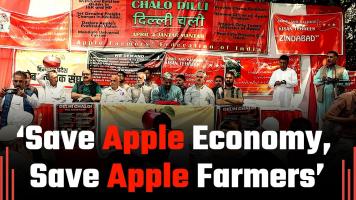 apple farmers