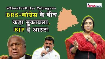 Election Pulse Telangan