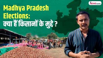 MP Election