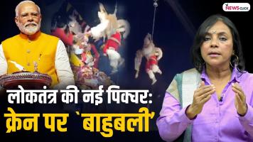 bhasha singh