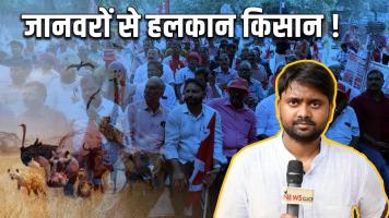 agriculture and animal