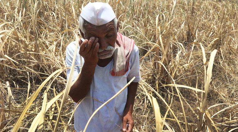 पशु कारोबार पर तुगलकी फरमान से किसानों की आय दोगुना करने के मंसूबे फेल
