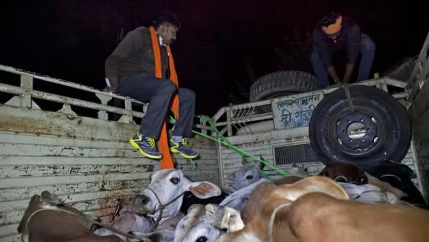 मोदी के गुजरात में गौ रक्षकों का बोलबाला: एक परिवार पर फिर हमला