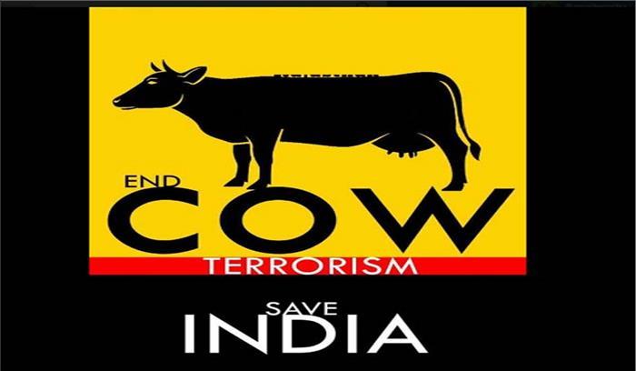 cow terrorism