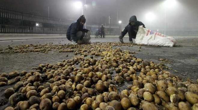 potato farmers