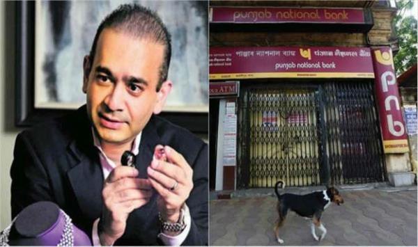 nirav modi